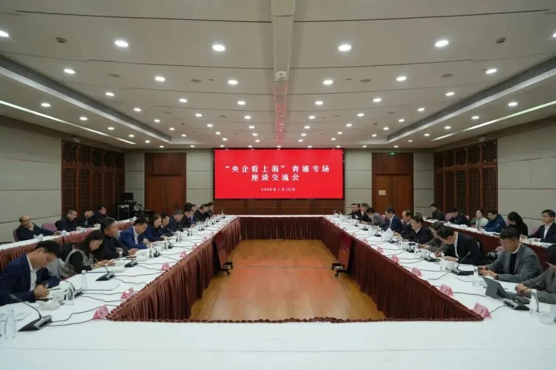 共商央地合作新机遇，“央企看上海”青浦专场座谈交流会举行
