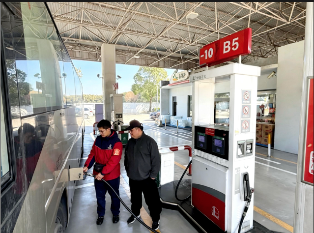 截屏2026-02-12 下午4.15.19.png